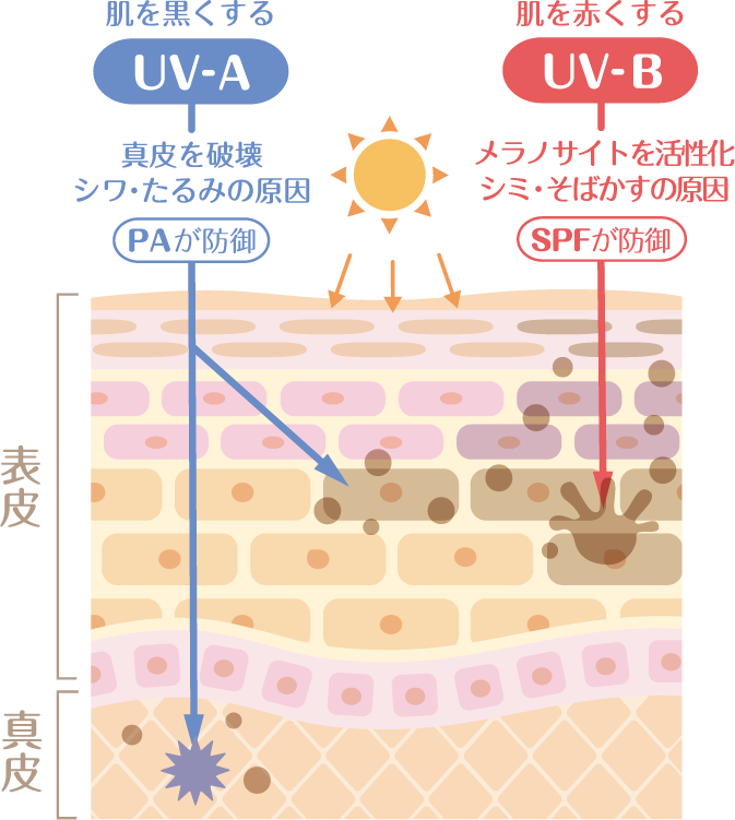 uv-care1.png